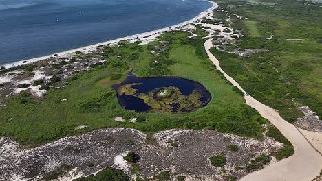 an aerial shot of sour thumb beach, ny on long island