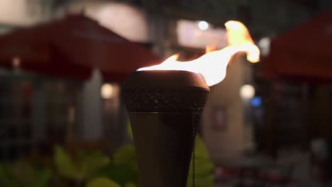 Antorcha-De-Fuego-Al-Aire-Libre-En-Cámara-Lenta-Con-Fuego-En-Una-Salida-Nocturna