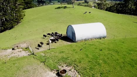 drone shots of farmland, field, open area