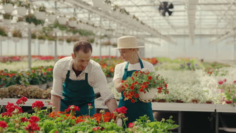 gardeners working with potted flowers in a bright greenhouse