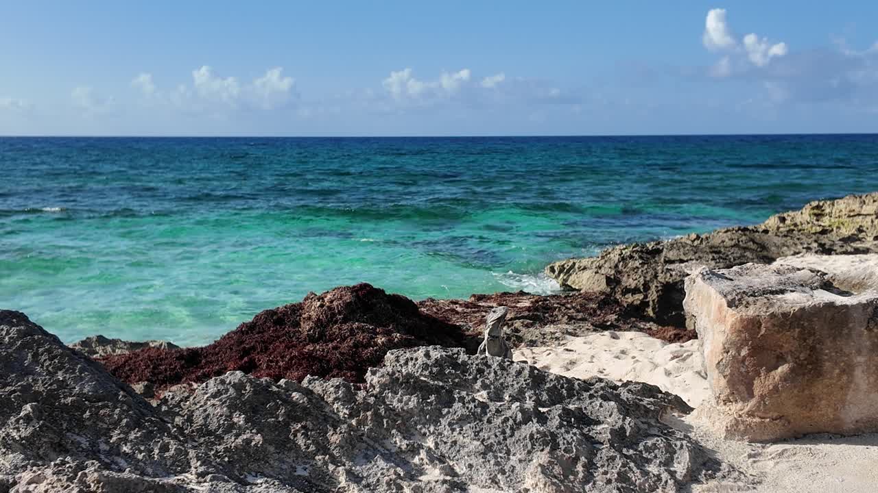 Experience luxury at its finest – stunning b-roll of our unforgettable Xcarte hotel stay. Tour the views, vibes, and elegance in every frame! #Travel #LuxuryHotel #Xcarte