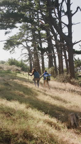 vertical video of biracial couple hiking with trekking poles in forest, slow motion