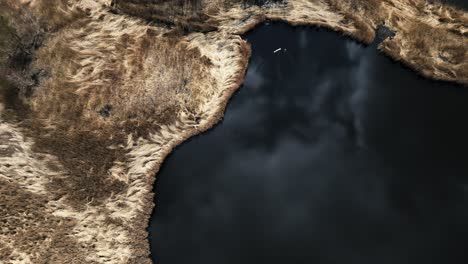 top down drone shot of the shore with dry yellow grass by the lake