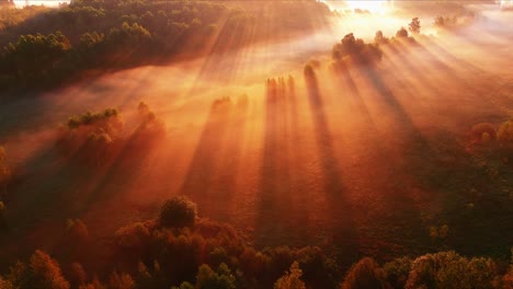 Bird's-eye-view-of-colorful-orange-sunrise-on-valley-with-trees-covered-with-fog