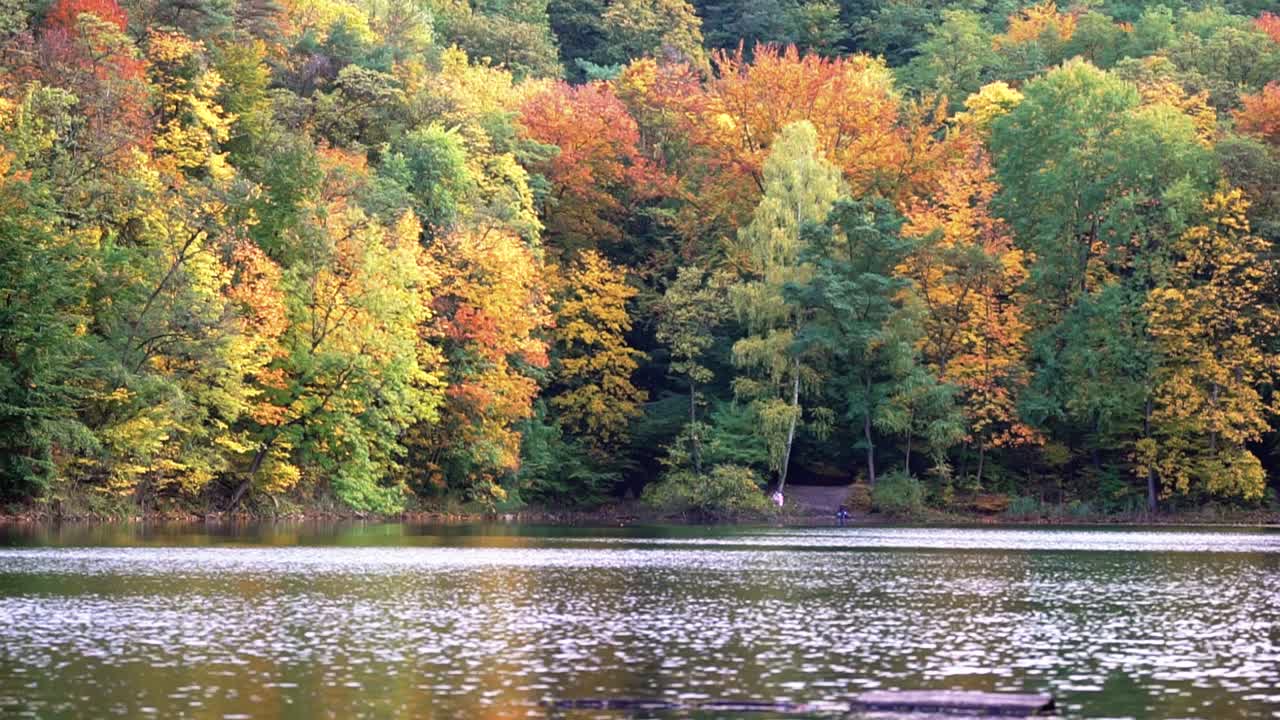 agua brillante de un lago tranquilo con árboles otoñales en el bosque de fondo
