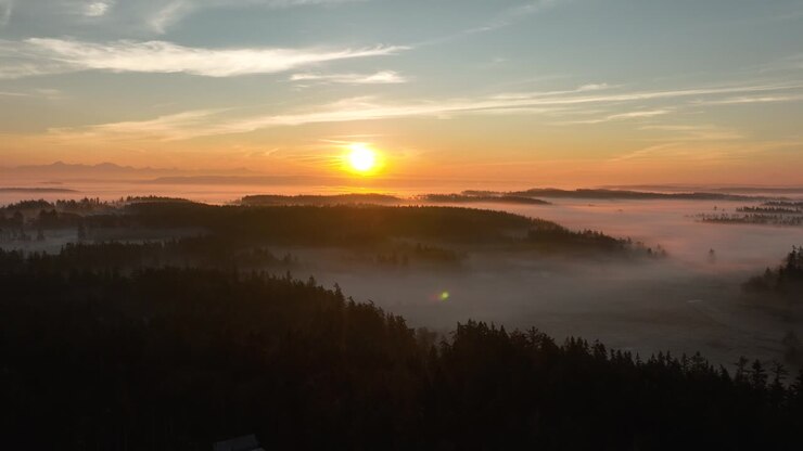 Vista aerea della natura incontaminata dell'isola di Whidbey avvolta nella nebbia all'alba