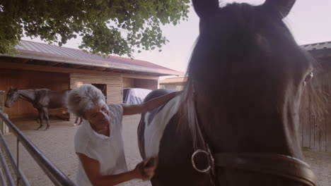 entra en el mundo de una anciana que cuida de su caballo en el patio.