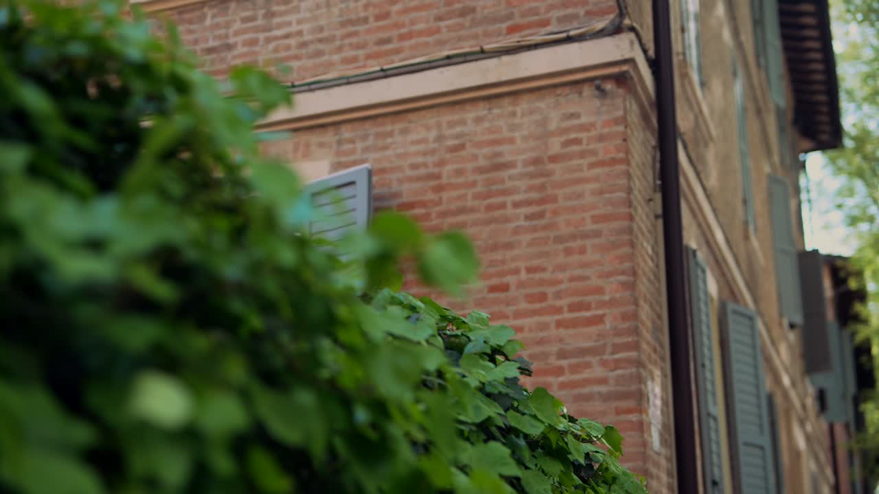 Italian Street Scene with Flowers and Shutters