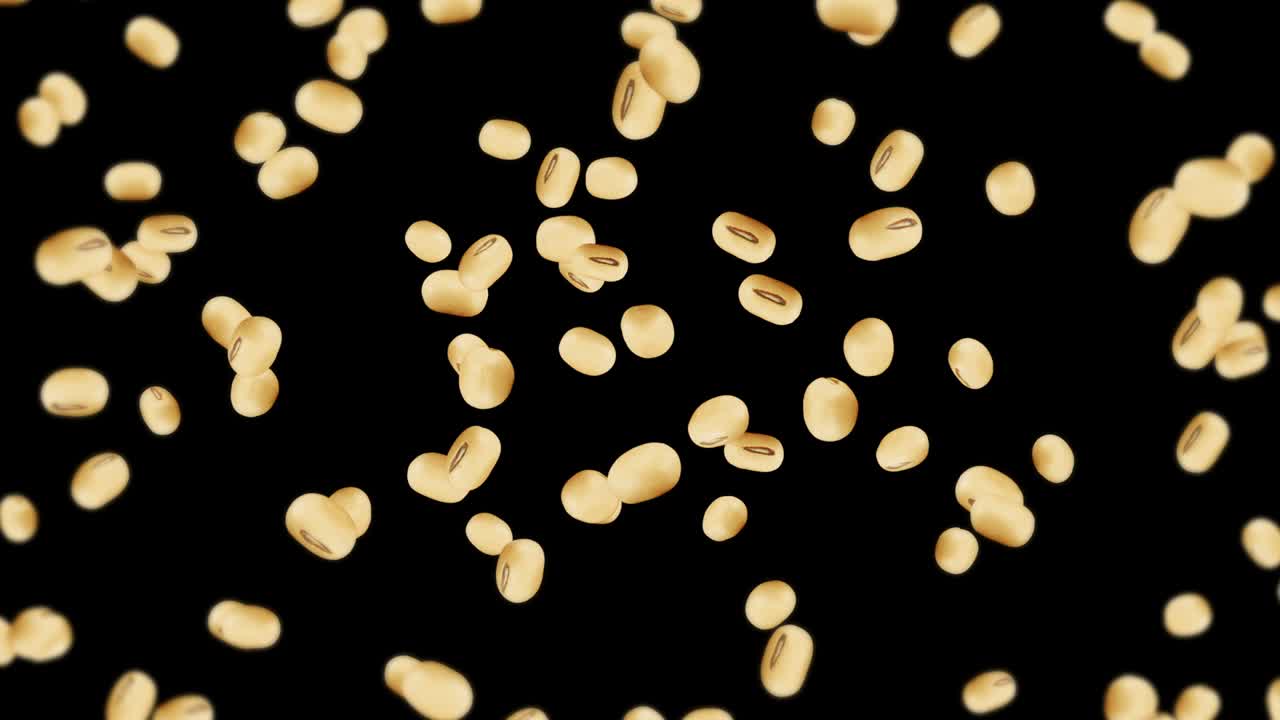 검은색 바탕에 많은 콩을 날아. 밝은 갈색 곡물. 콩과 콩. 건강한 음식. 회전하는 콩의 3d 루프 애니메이션.