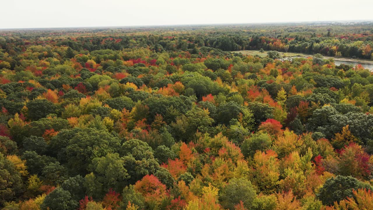 colores de octubre saliendo en hojas cambiantes