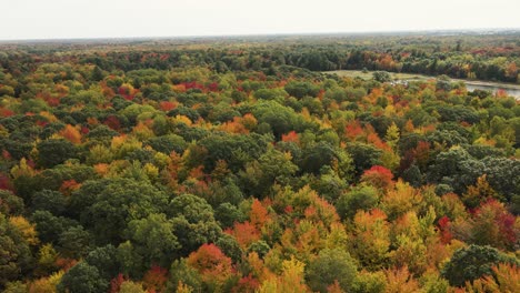 Colores-De-Octubre-Saliendo-En-Hojas-Cambiantes