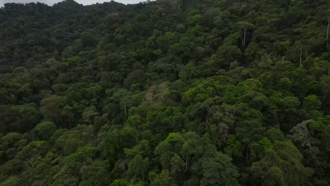 Toma-De-Drone-De-La-Isla-Bahía-Solano-Volando-Sobre-La-Jungla-Exponiendo-El-Océano-Pacífico.