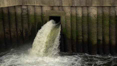 escalera de peces en cámara lenta cerca de una central hidroeléctrica a lo largo del río weser