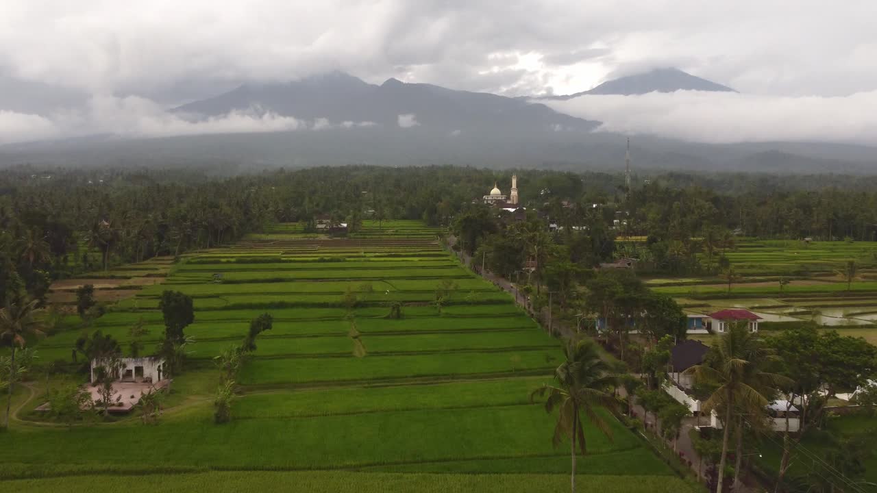 Drone shot over lush rice paddies in Tetebatu, Lombok. The camera moves slowly towards Mount Rinjani in the distance, capturing rural life and tropical greenery.