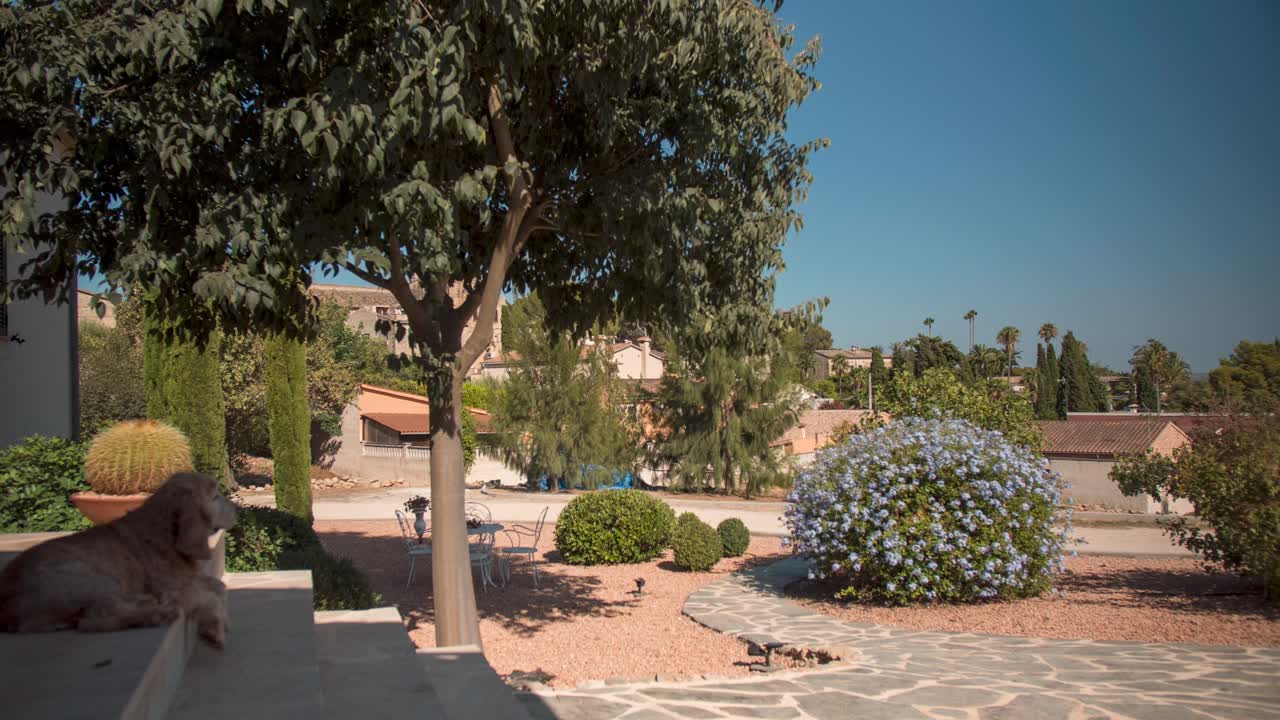 Left-to-right timelapse pan of sunlit Mallorca garden with dog resting on steps