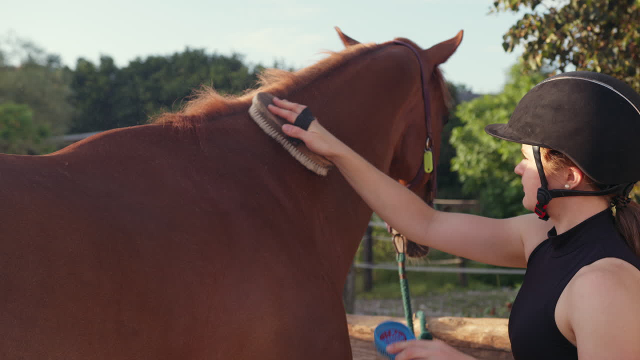 jockey femenino quitando la suciedad, arreglando y cepillando el abrigo de caballo, tiro de mano