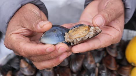 preparing and serving stuffed mussels