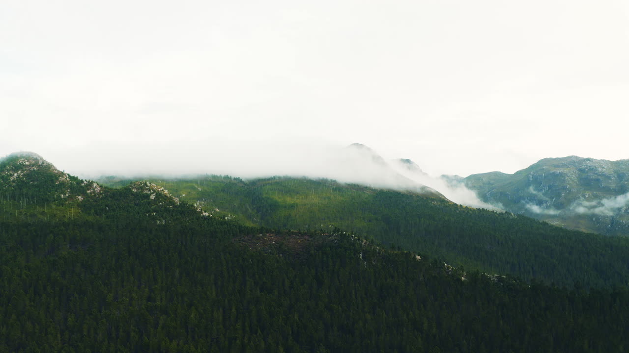 cordillera de niebla con un bosque exuberante