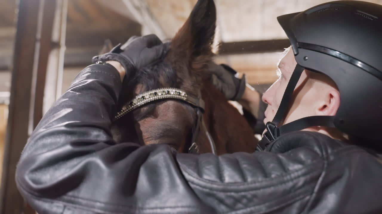 Preparazione del cavallo completata. Il cavallo è pronto per l'evento dopo che il conduttore ha perfezionato tutti gli accessori. Un abile conduttore di cavalli regola meticolosamente l'equipaggiamento per garantire prestazioni ottimali per la prossima competizione.