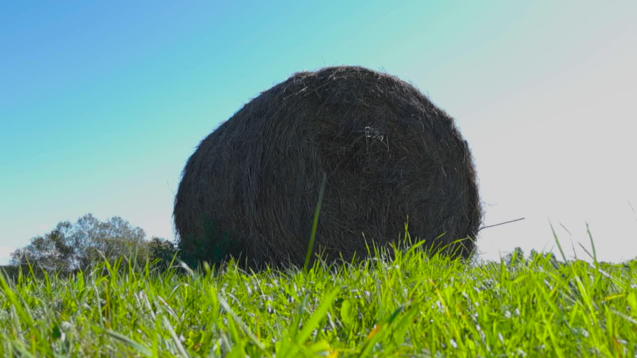Hay Bale in a Field