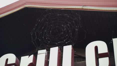 large round beautiful web sways in the wind under wooden roof of the house.