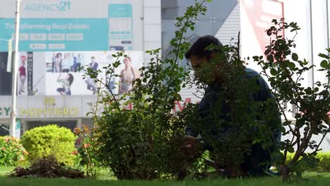 imagine a dedicated gardener nurturing a breathtaking array of vibrant plants right outside a bustling shopping center, instantly enhancing the shopping experience for everyone.