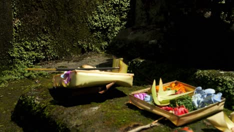 slow motion static shot of caning sari making offerings to the gods as a sign of gratitude and traditional art on bali in indonesia in a hindu temple