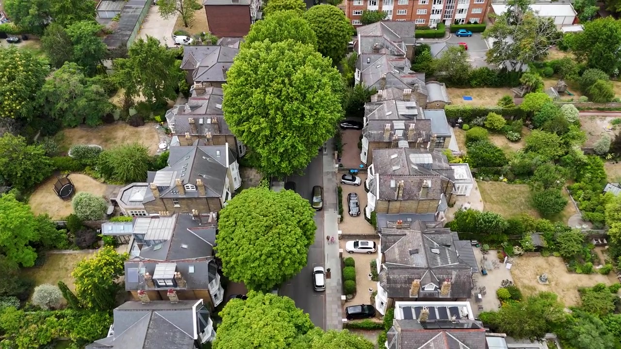 Vista dall'alto di grandi case unifamiliari e bifamiliari con giardini sul retro lungo una strada residenziale alberata