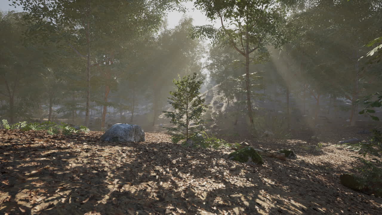 Serene forest landscape illuminated by morning sunlight in a tranquil setting