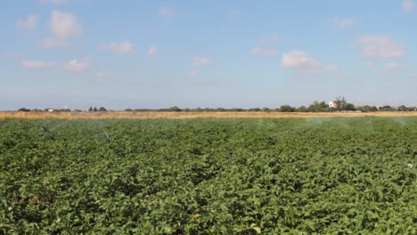 a green field is irrigated