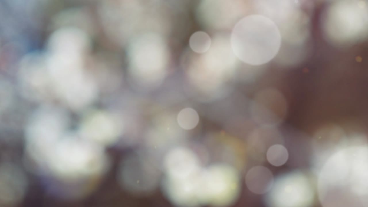 fondo de resorte abstracto con bokeh