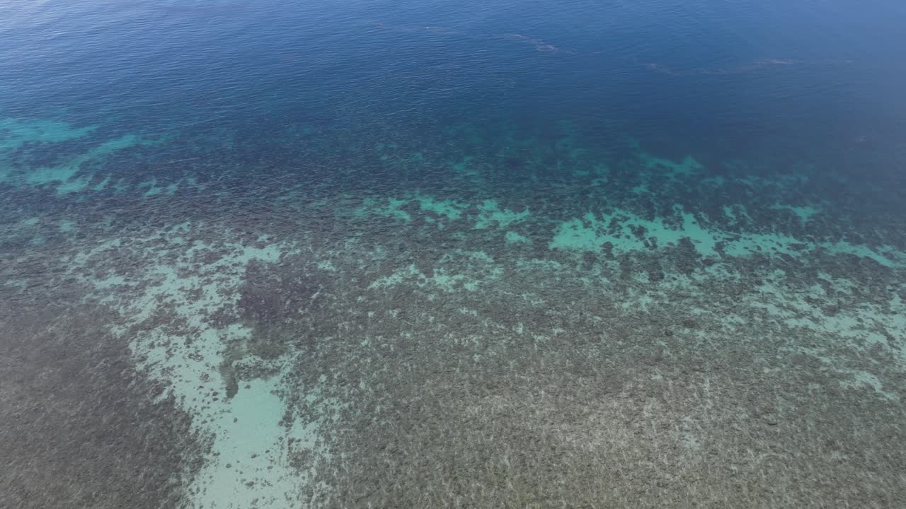 agua azul cristalina con formaciones de coral visibles debajo de la superficie