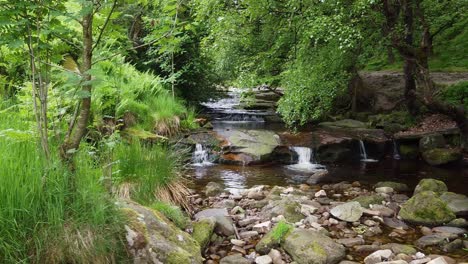 Arroyo-Pacífico-De-Páramos-En-El-Distrito-De-Derbyshire-Peak-Con-Agua-Que-Fluye-Sobre-Rocas-Pequeñas-Y-Grandes