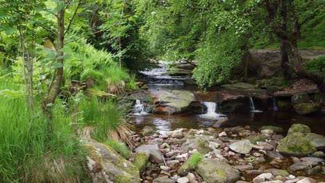 arroyo pacífico de páramos en el distrito de derbyshire peak con agua que fluye sobre rocas pequeñas y grandes