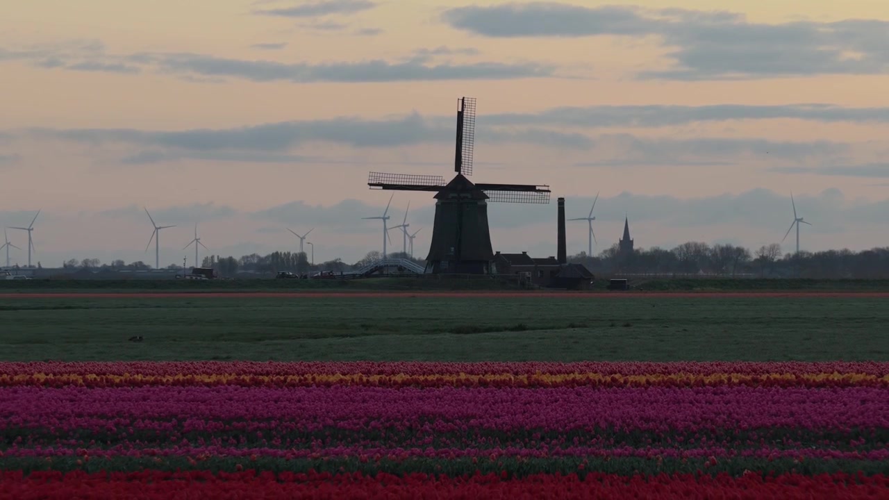 Bellissimo paesaggio olandese che mostra un mulino a vento tradizionale con le pale che girano. Sullo sfondo, moderne turbine eoliche generano energia