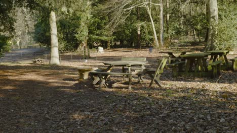 Panning-across-wooden-picnic-table-bench-in-autumn-countryside-public-park-woodland