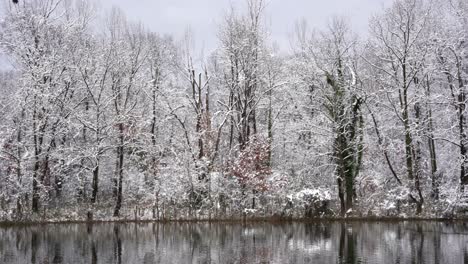 winter landscape with calm cold water lake reflecting leafless trees covered in snow