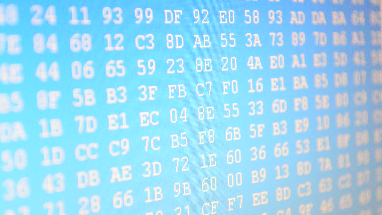 Shooting in the long term, code. Beautiful foreshortening of a code. Hexadecimal program code on screen. Animated background of moving binary code numbers
