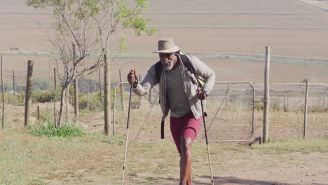 senior african american man hiking with trekking poles on sunny day, slow motion