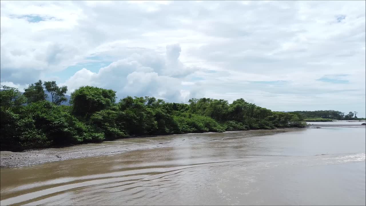 río tropical, costa rica, manglar, río entre los árboles, naturaleza