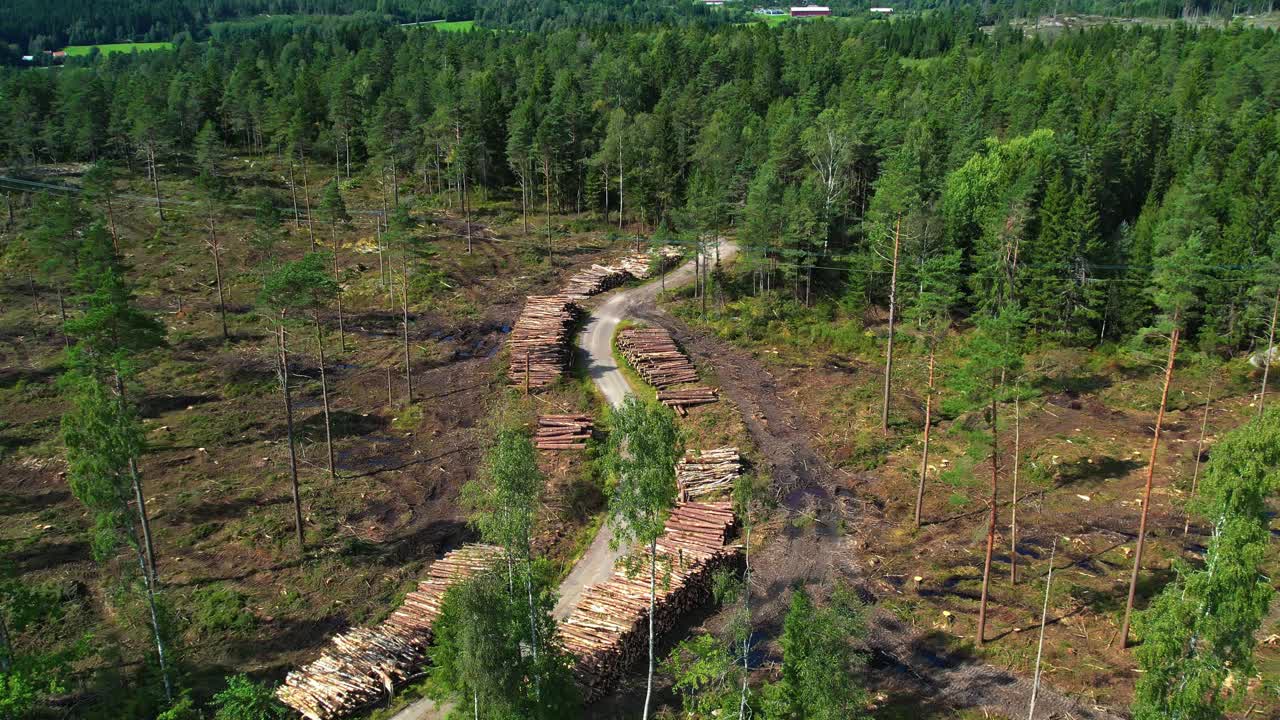 Clear-cut forest in Sweden, stacked logs, aerial summer view