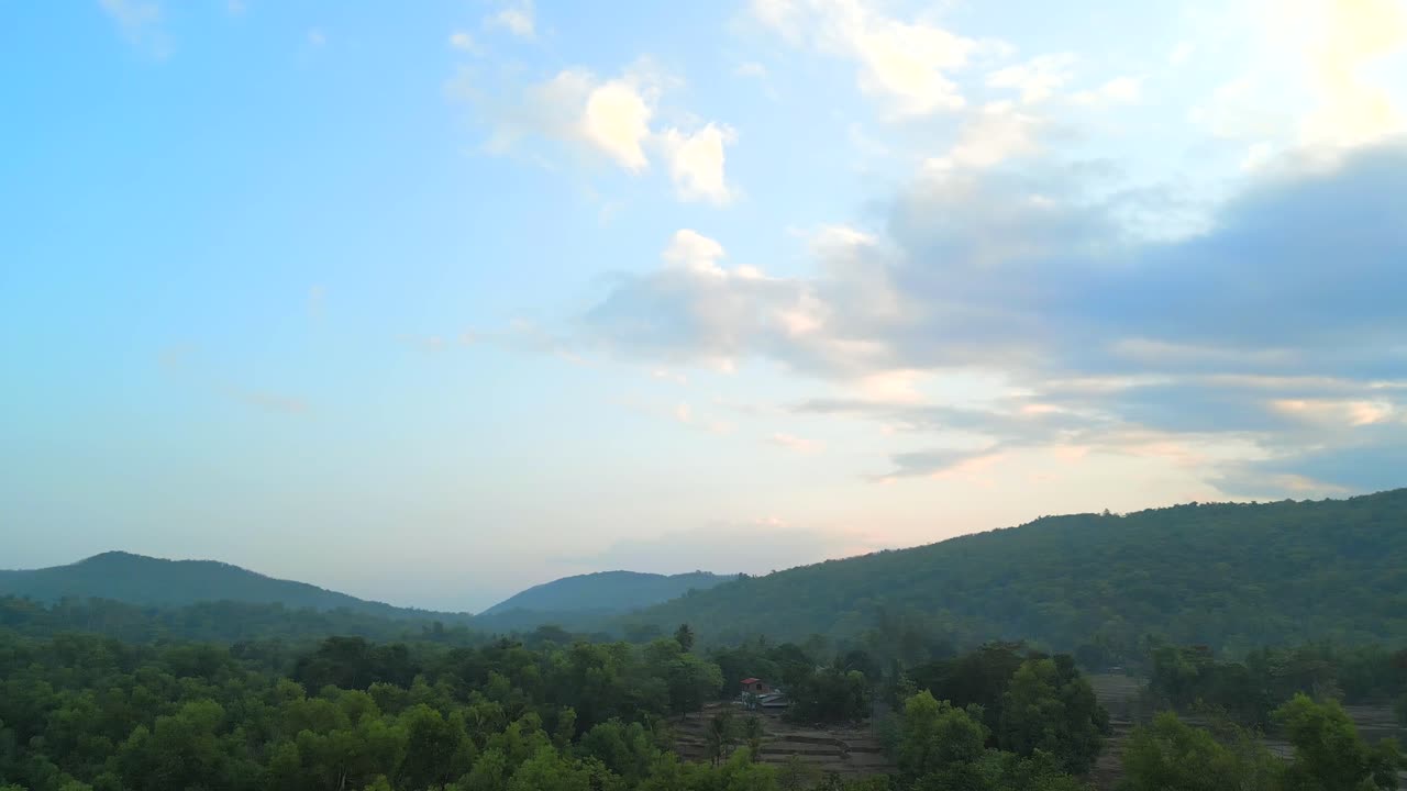 그린리 힐 스테이션 180d 조류 시야