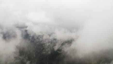 thick fog spread across sky breaks as drone flies between to reveal high overview of pnw forest