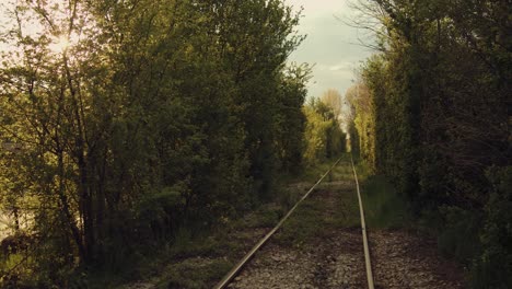 túnel de tren natural a través del bosque