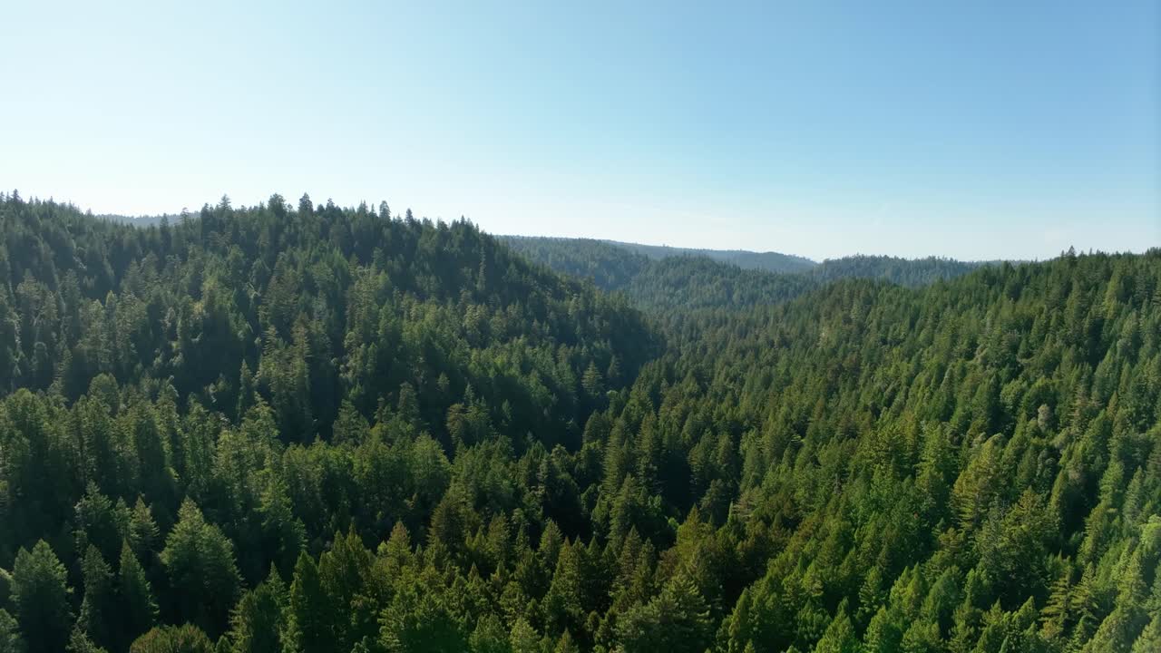 Vista aerea delle Montagne Cascade coperte da alberi sempreverdi.