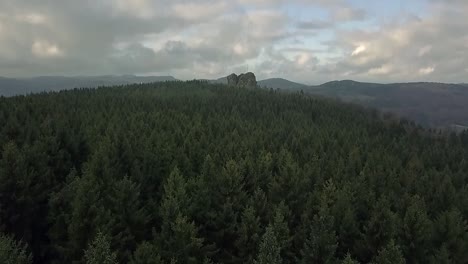 tilt up of the camera showing a hill with a dense forest to reveal a beautiful sky with clouds