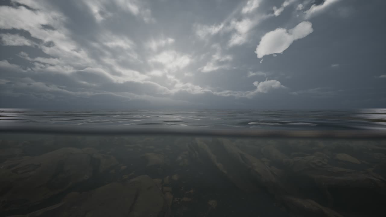 medio agua océano disparar debajo de la línea de agua