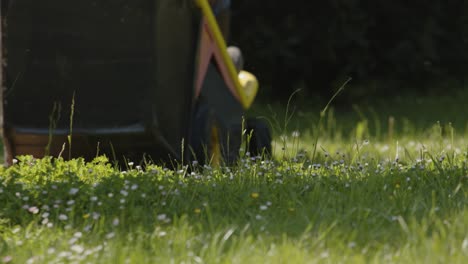 Person,-Die-Rasenmähermaschine-Auf-Frischem-Grünem-Gras-Im-Hinterhof-Fährt