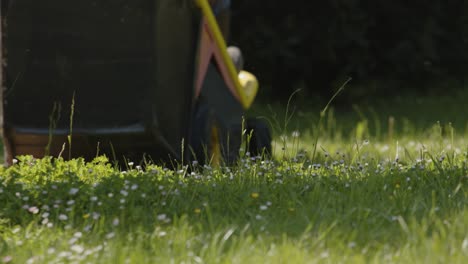 person driving lawnmower machine on fresh green grass at the backyard