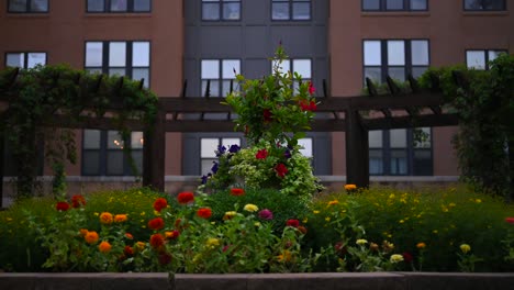 court yard flower garden beautiful view